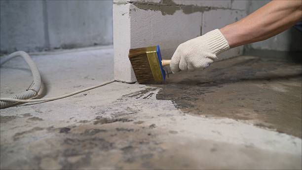 Top rated local Wet Basement Repair specialists in Lupton City, TN